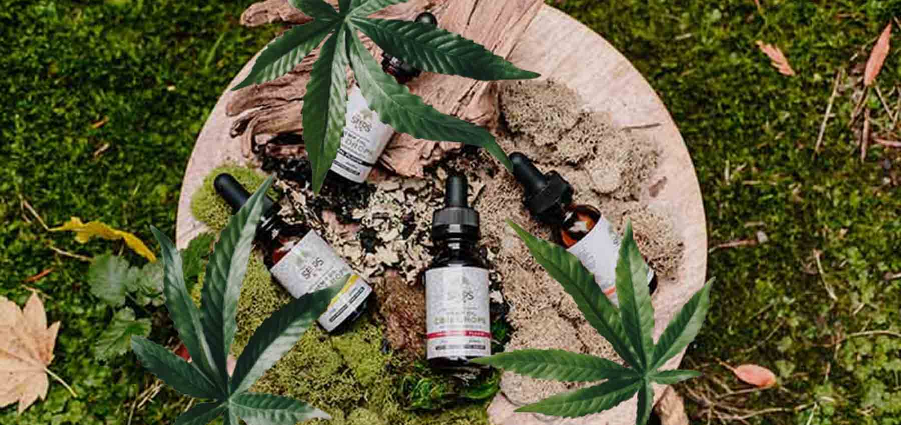 CBD e cannabis light nello sport